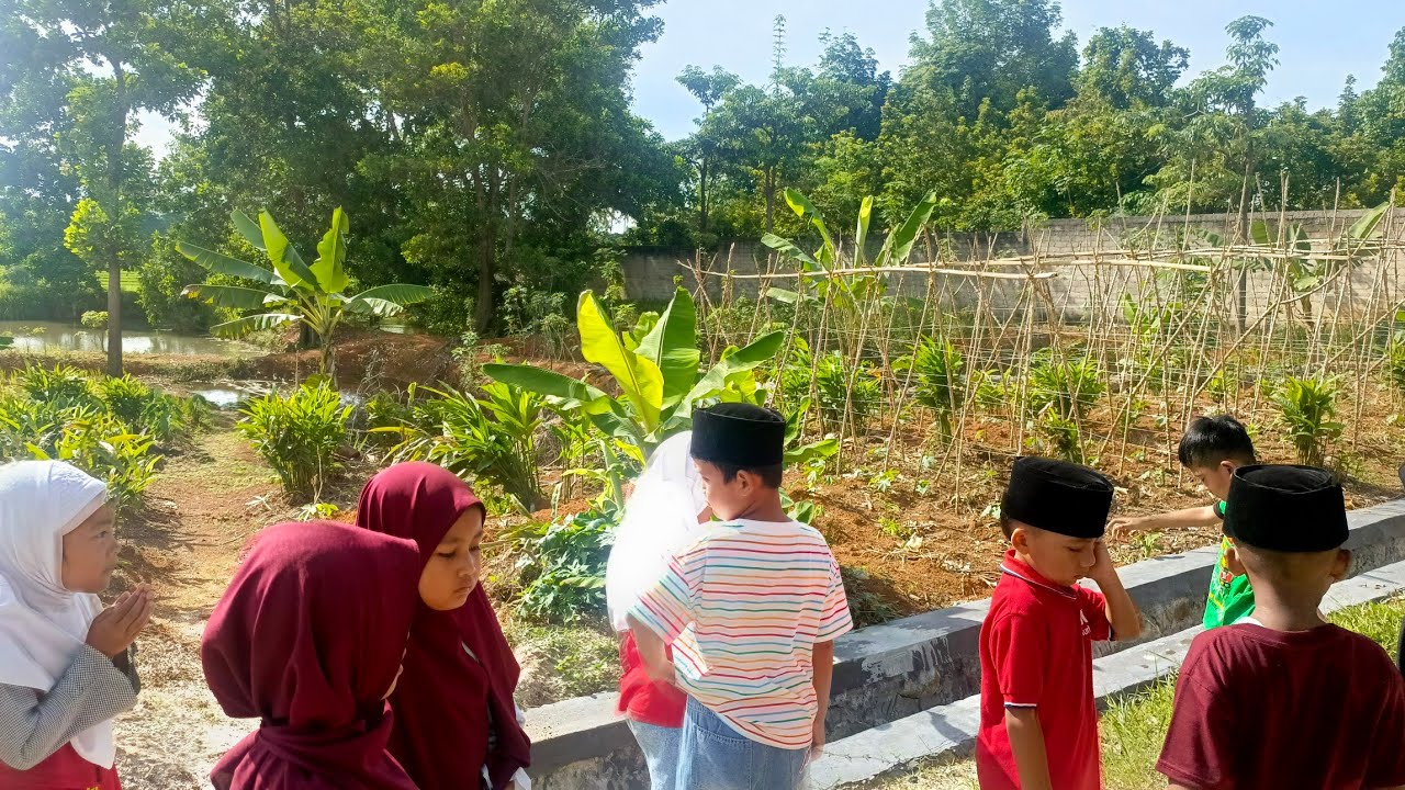 Belajar tema apotik hidup