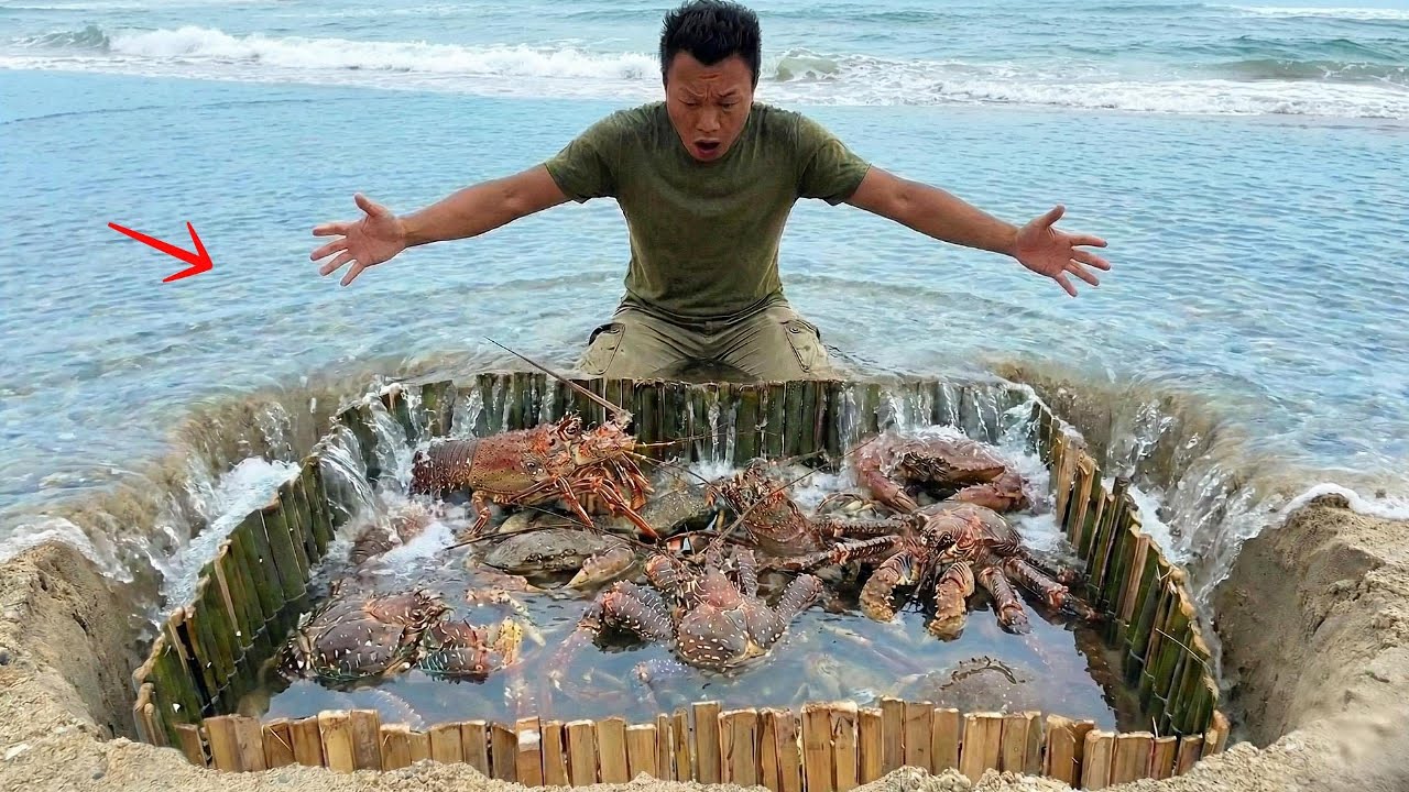 Thử Thách Sinh Tồn Trên Đảo Hoang - Khó Khăn Cực Hạn Để Tạo Lửa Và Xây Dựng Nơi Trú Ẩn