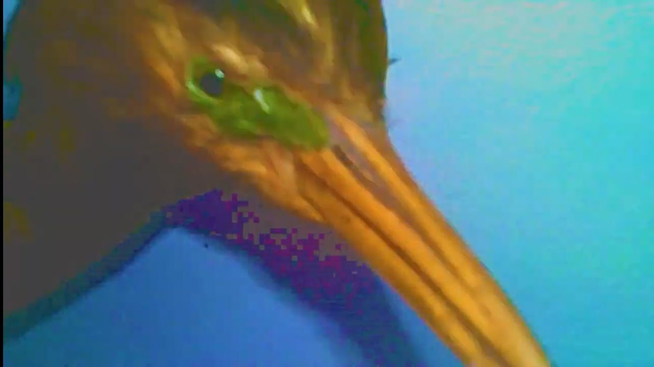 Liquid Desert - LEPRECHAUN (Official Music Video)