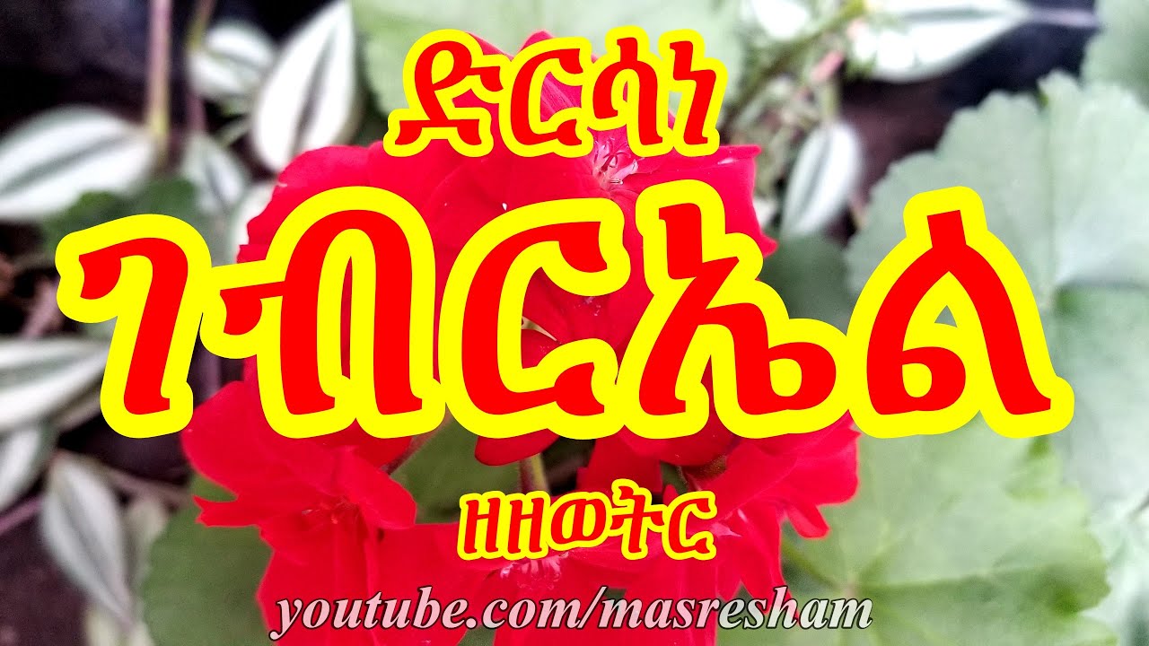 ድርሳነ ገብርኤል ዘዘወትር - Dirsane Gebriel Zezewetir
