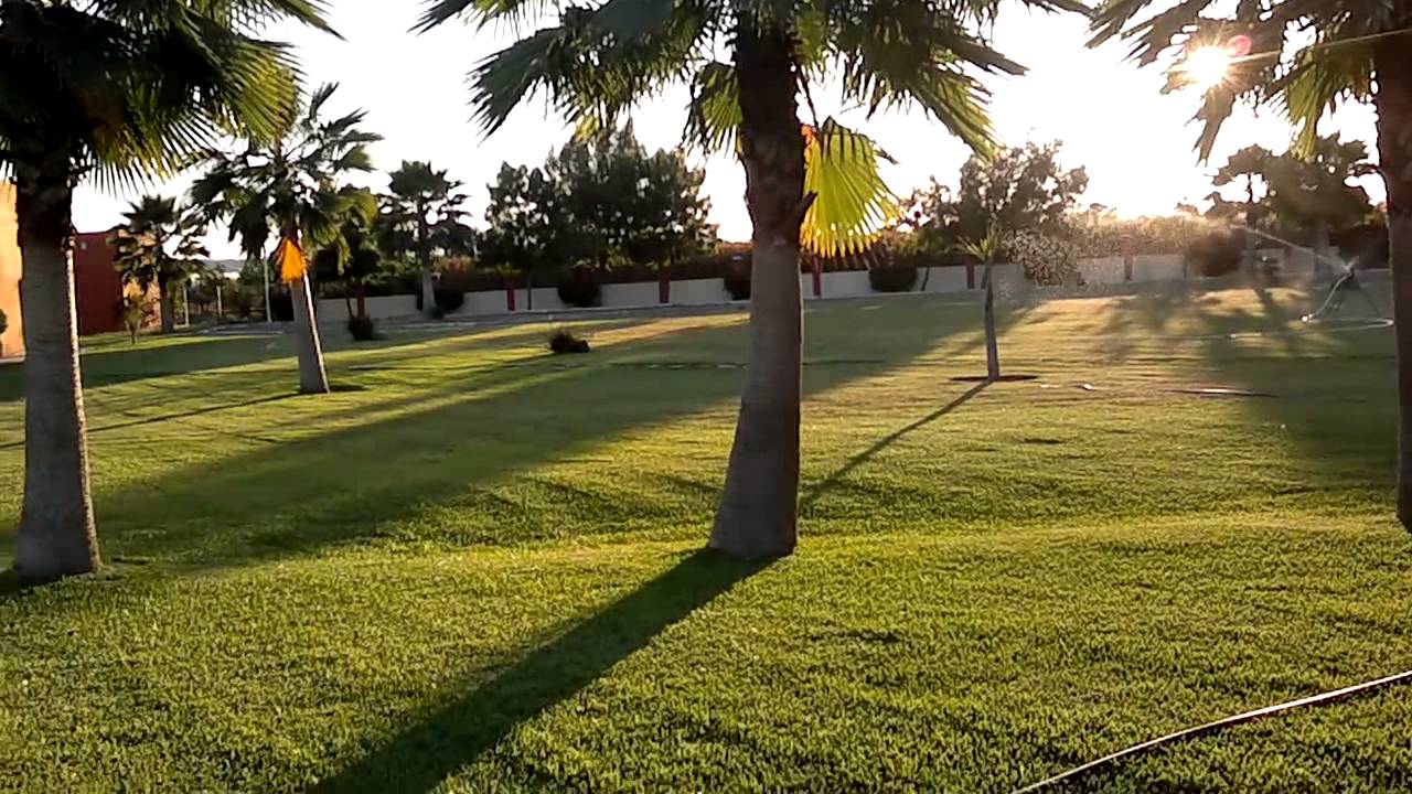 jardin2