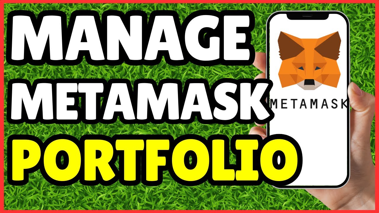 How to View and Manage Your Crypto Portfolio in MetaMask | Quick Guide 2025