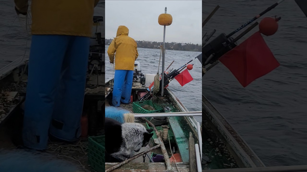 Ох как оно... #рыбалканаозере #fishing #рыбалка