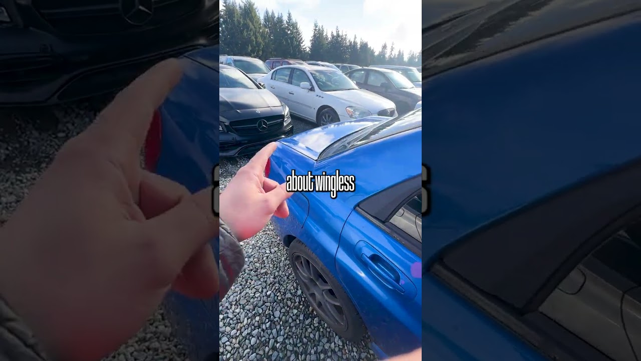 Аукцион Subaru Impreza WRX STi &mdash; это плесень?