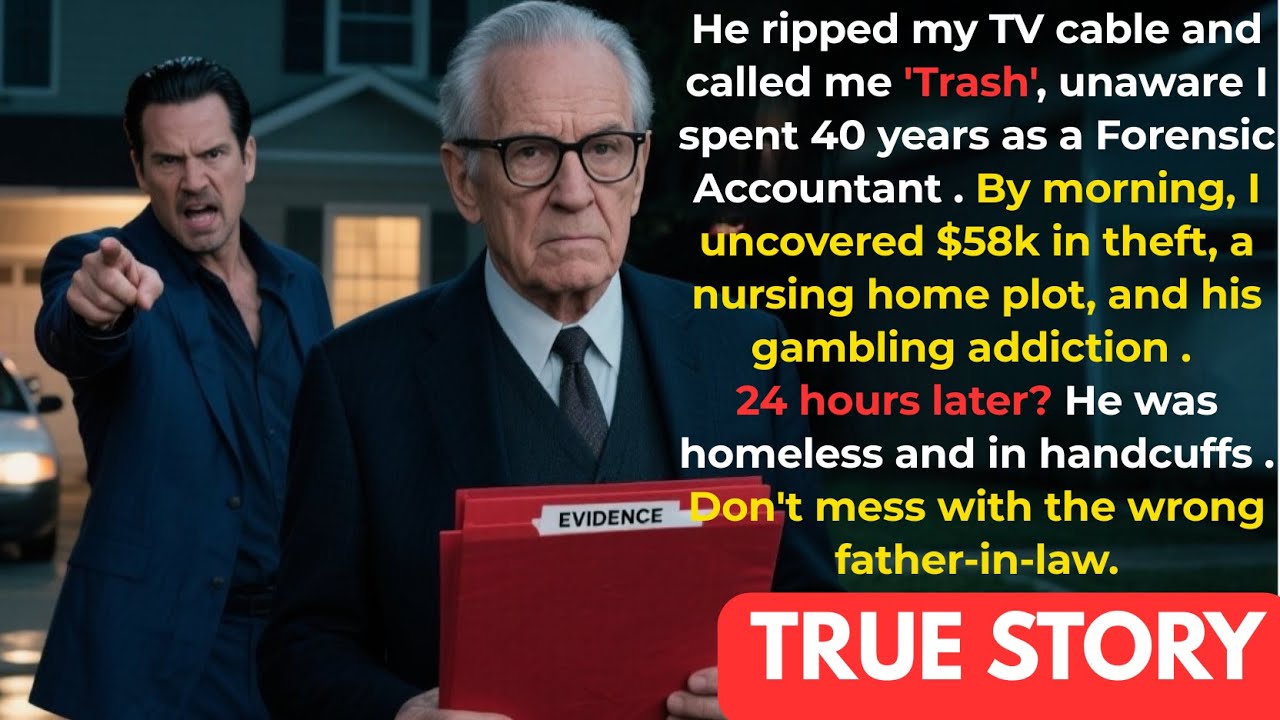 My Son-In-Law Ripped The Cable Out Of My TV And Called Me 'Trash'. The Next Day, He Was Homeless.