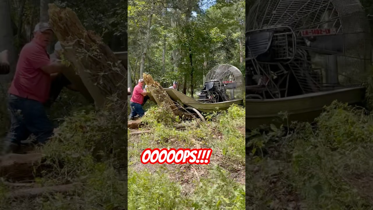 Who put that tree there?? #troylandry #funny #swamppeople #swamp #airboat #accident #boatfail #boat