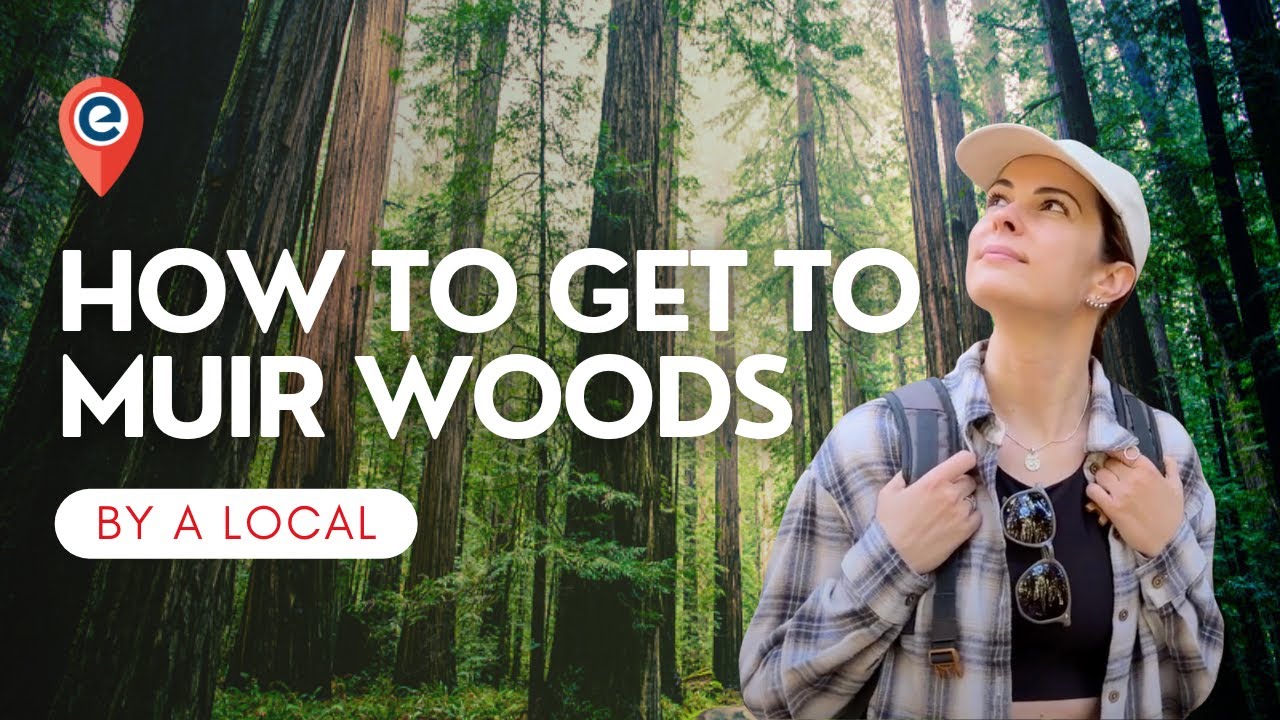 How to get to Muir Woods from San Francisco - 5 BEST WAYS