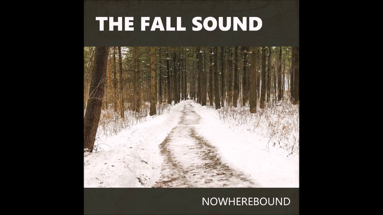 The Fall Sound - Just Another Punk Song