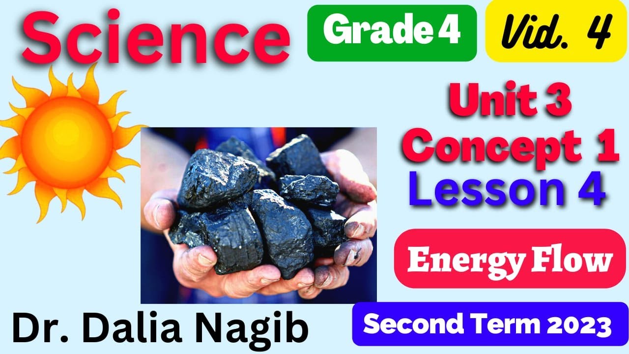 Science Grade 4 Unit 3 Concept 1 Lesson 4 Energy Flow   ساينس رابعه ابتدائى الترم الثانى