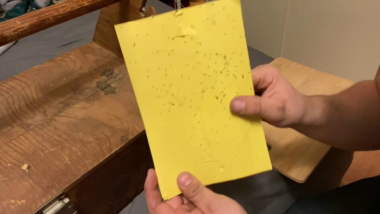 How to Make Paper Shot Cartridges for Muzzle Loaders