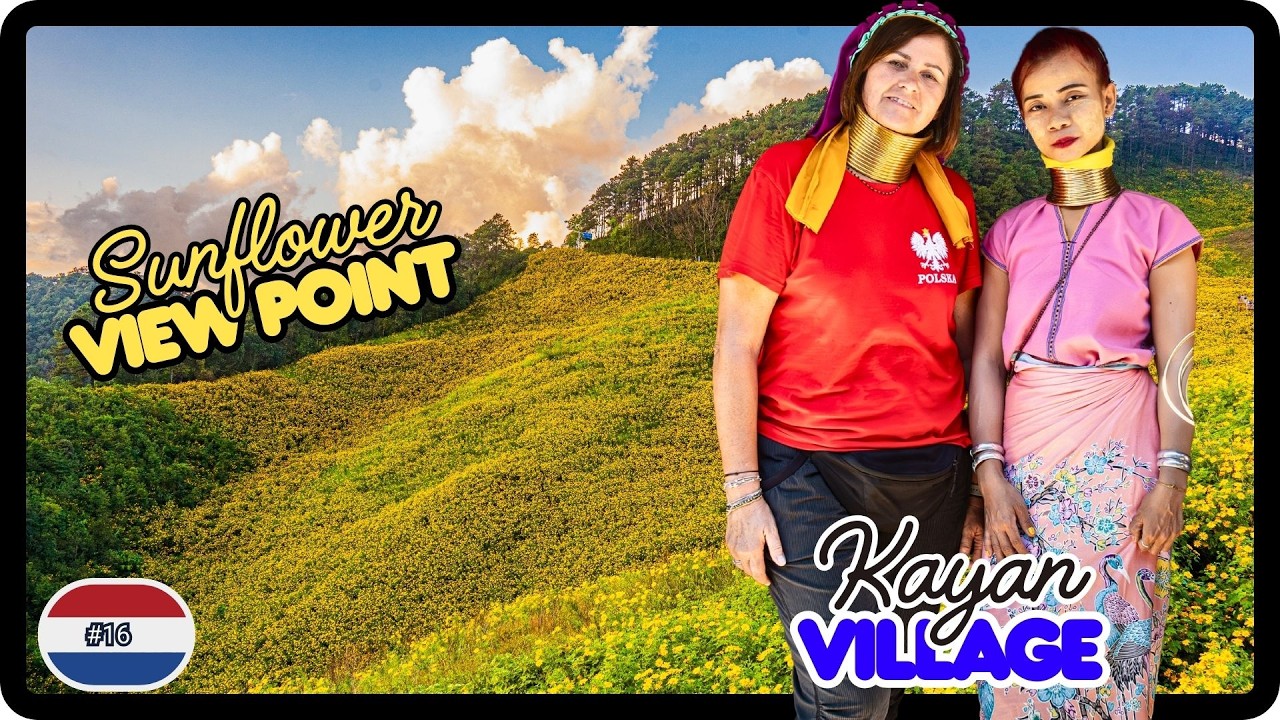 Skuterem przez północną Tajlandię. Pętla Mae Hong Son. Piękne pole słoneczników i wioska Kayan.