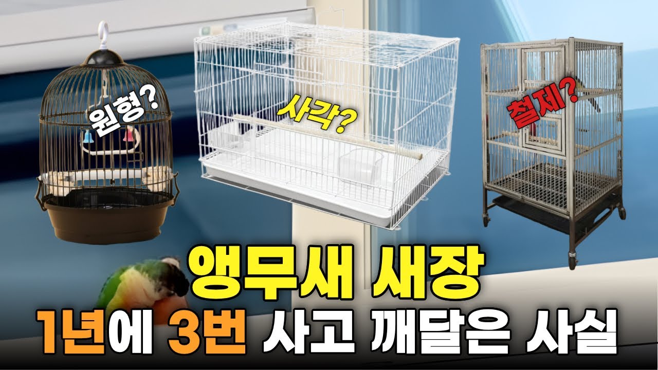 앵무새 새장 고민 끝. 1년 동안 6번 바꾸고 결국 이걸로 정착했습니다.