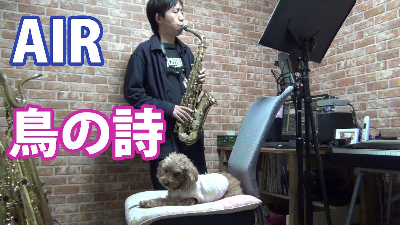 鳥の詩 (AIR) アルトサックスで吹いてみた - Tori no Uta - Alto Saxophone Cover