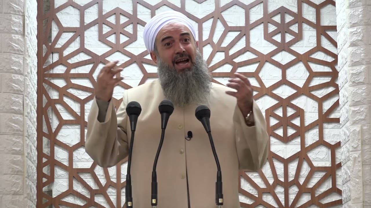 مافی دایک باوک