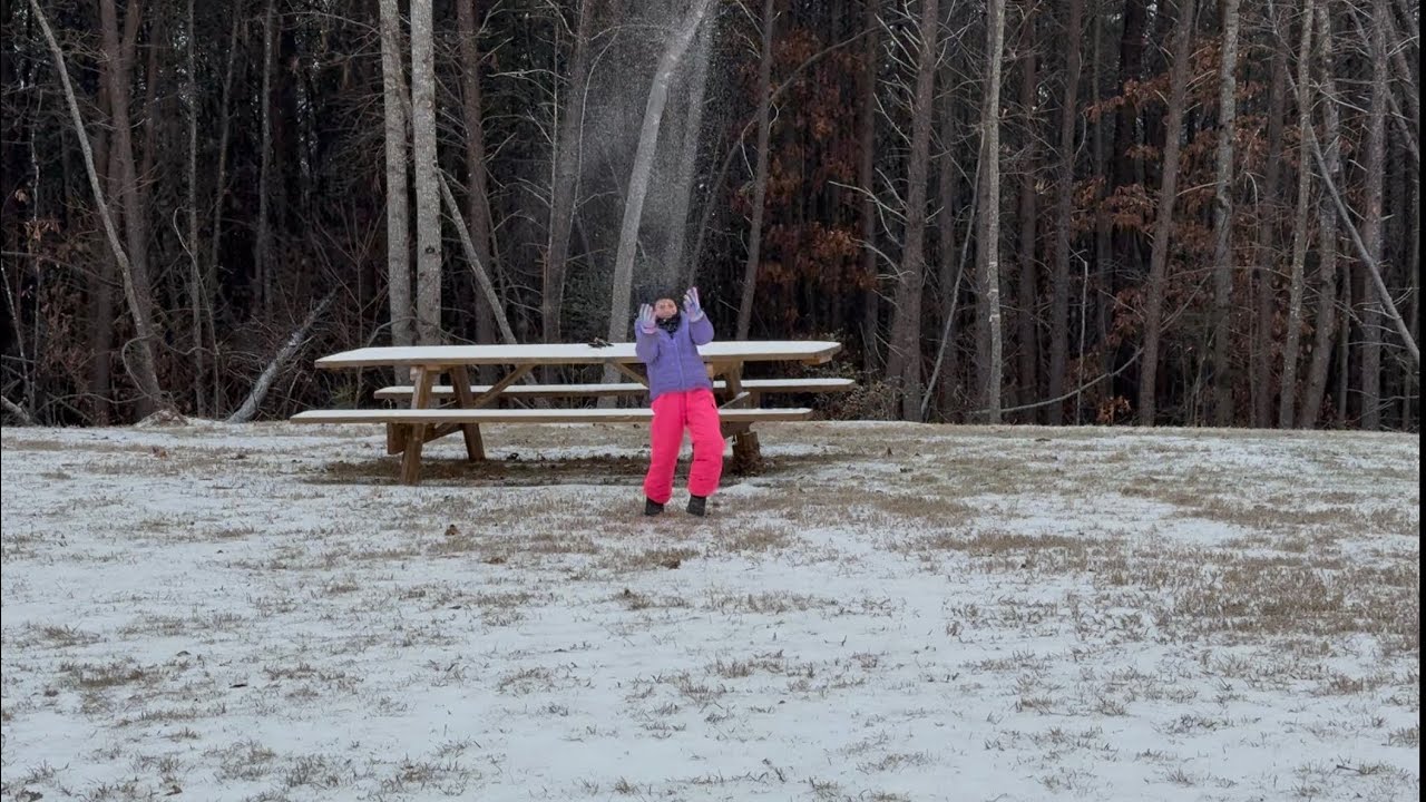 Lily in the snow 1-25-2026