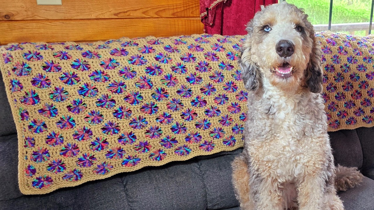 Crochet Blanket Tutorial - So Easy To Ccrochet! Polka Dot on The Spot Throw