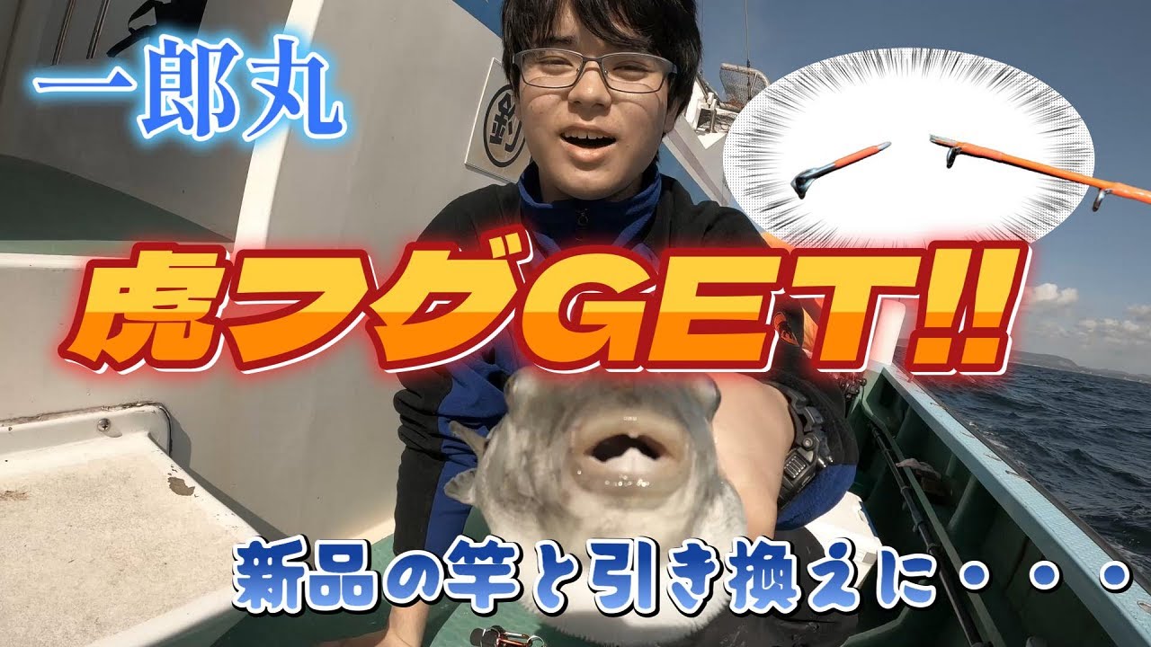 【トラフグ】Xデーはまだ？トラフグに初挑戦したら悲劇が【一郎丸】