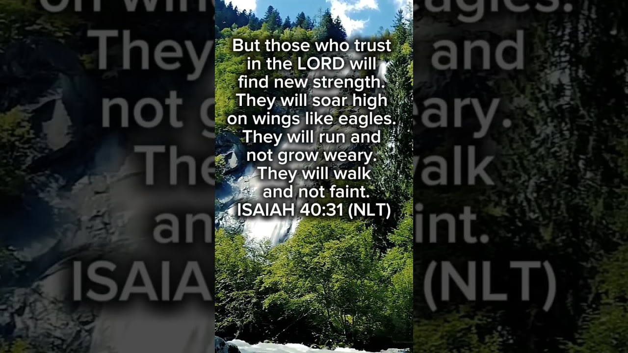 Isaiah 40:31 #walkinspiritoftheholyspirit #gos #jesus #christian