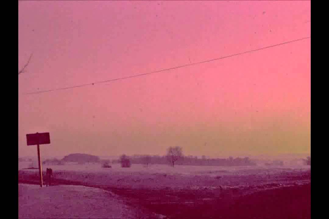 VID - Camelie