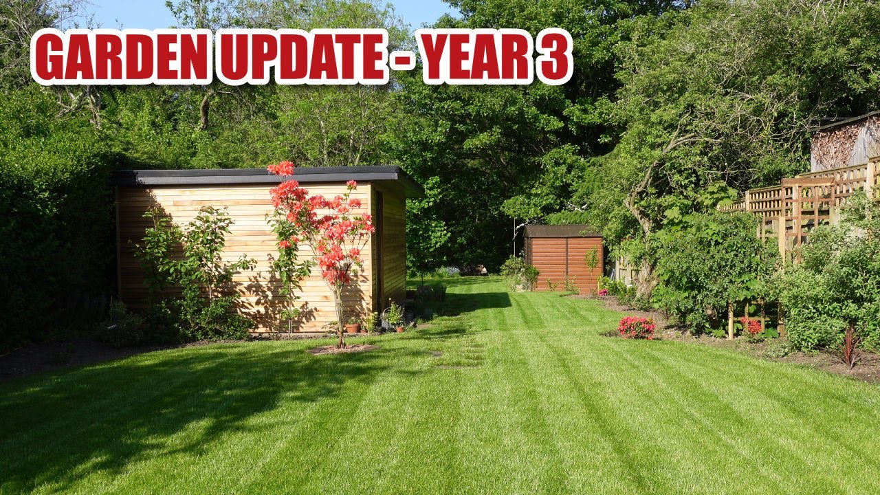 Garden update (month 29)