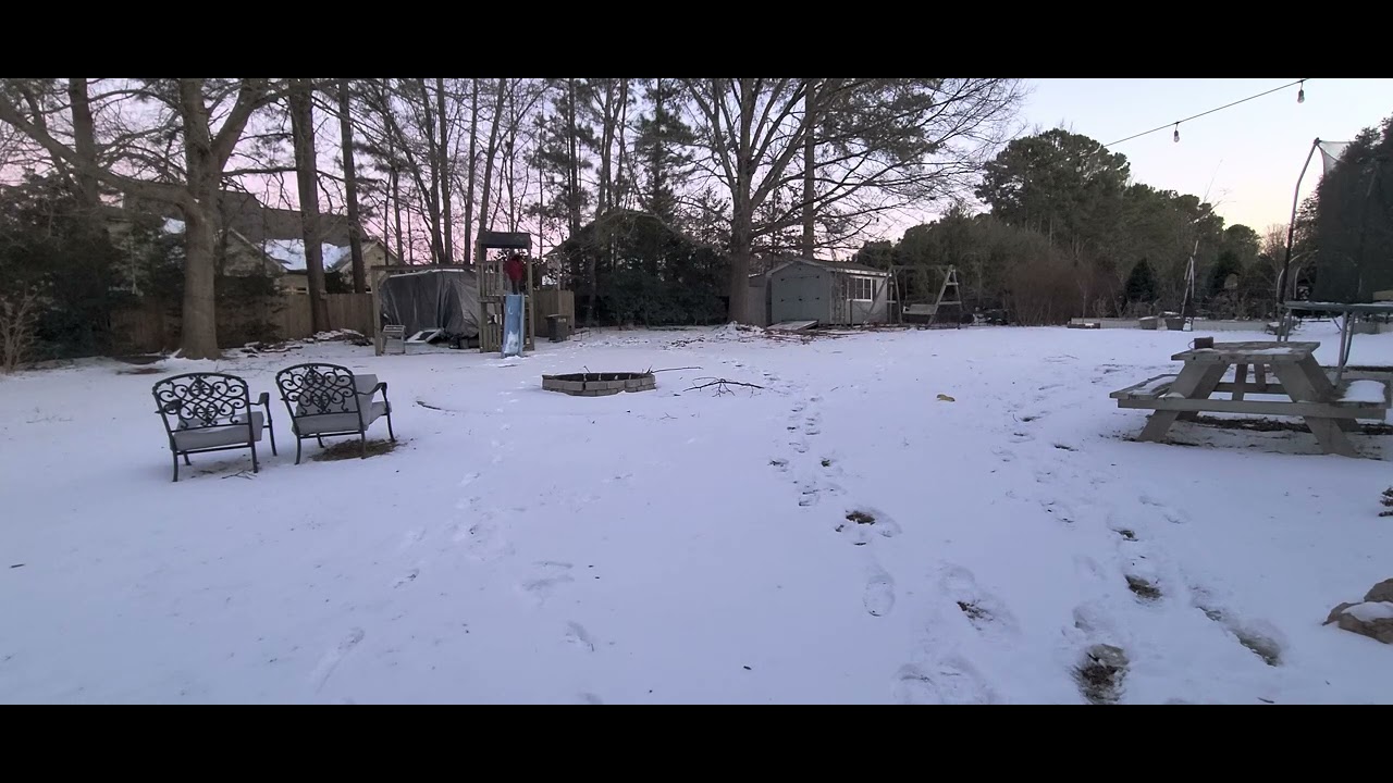 Chicken Flying off the roof