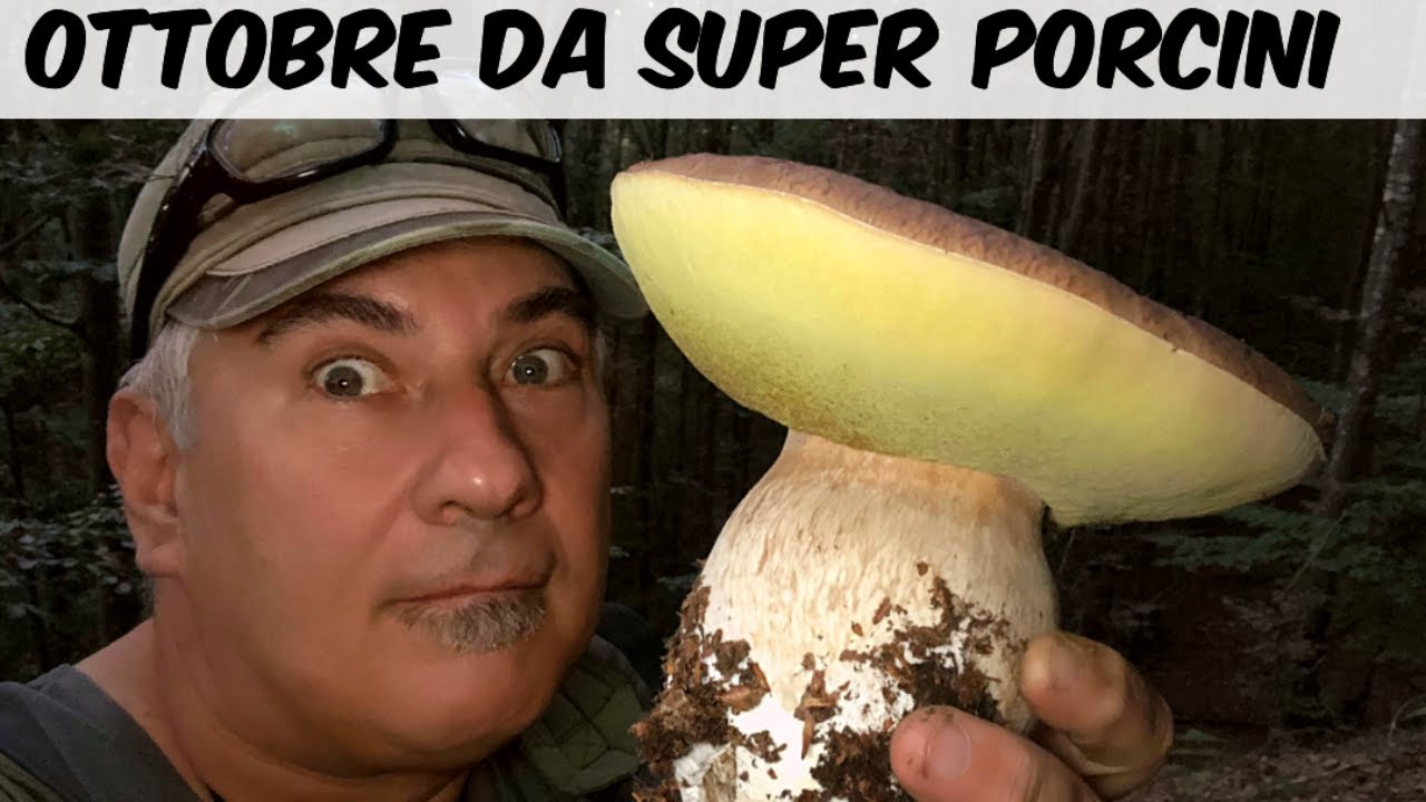 OTTOBRE DA SUPER PORCINI