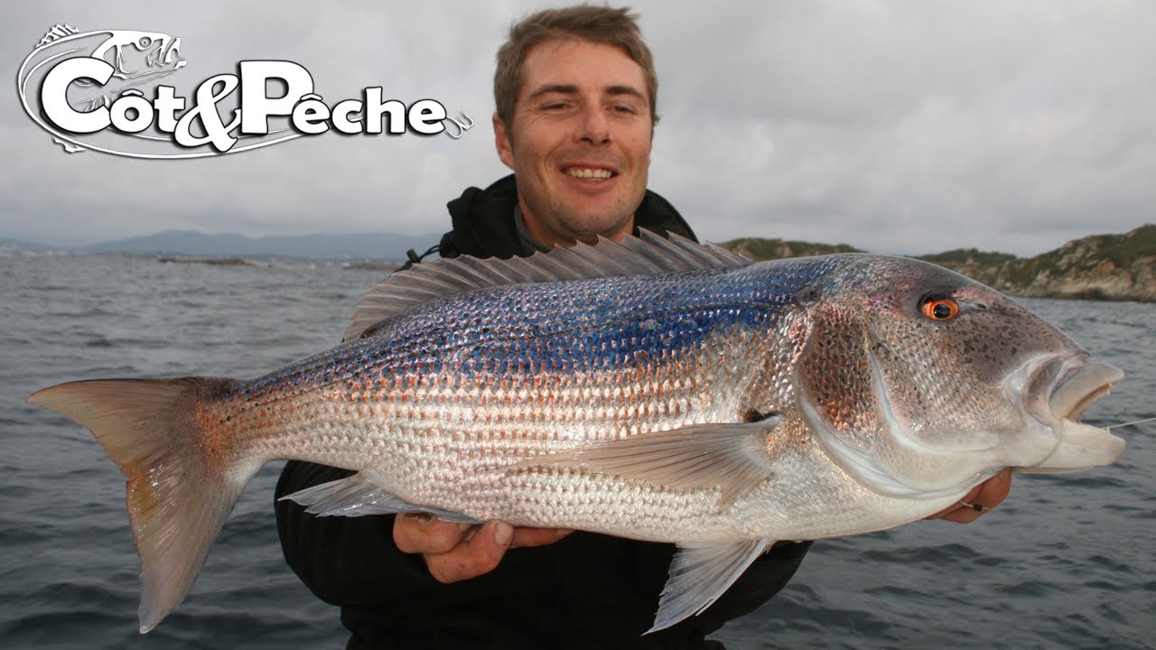 Pêche du Denti au Fireball