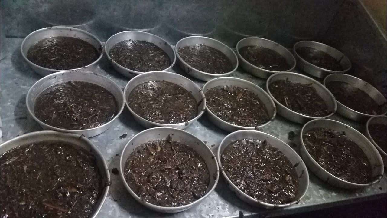 طبختين بخور بعطر عود الشرقيه روعه جدا