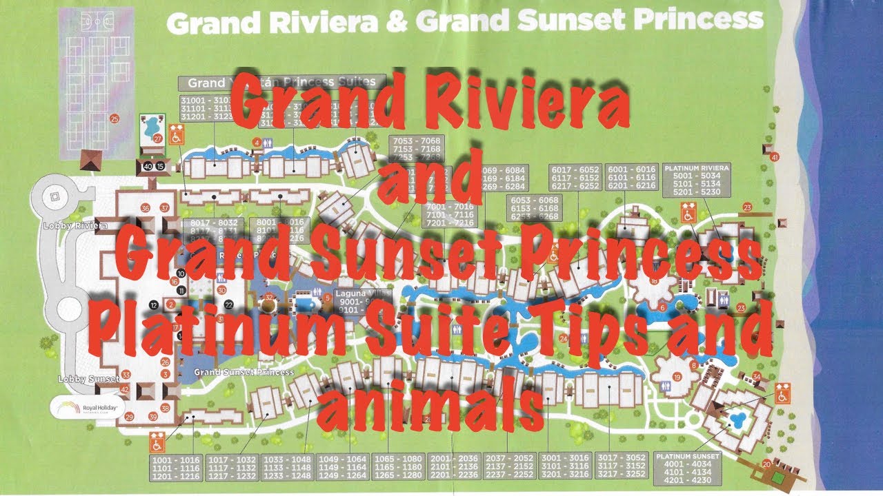 Grand Riviera and Grand Sunset Princess with Platinum Suite and animals