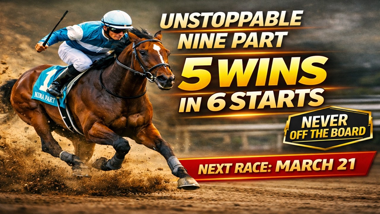 Nine Part All 6 Starts | 5 Wins, 1 Second | Future Horse Racing Star?