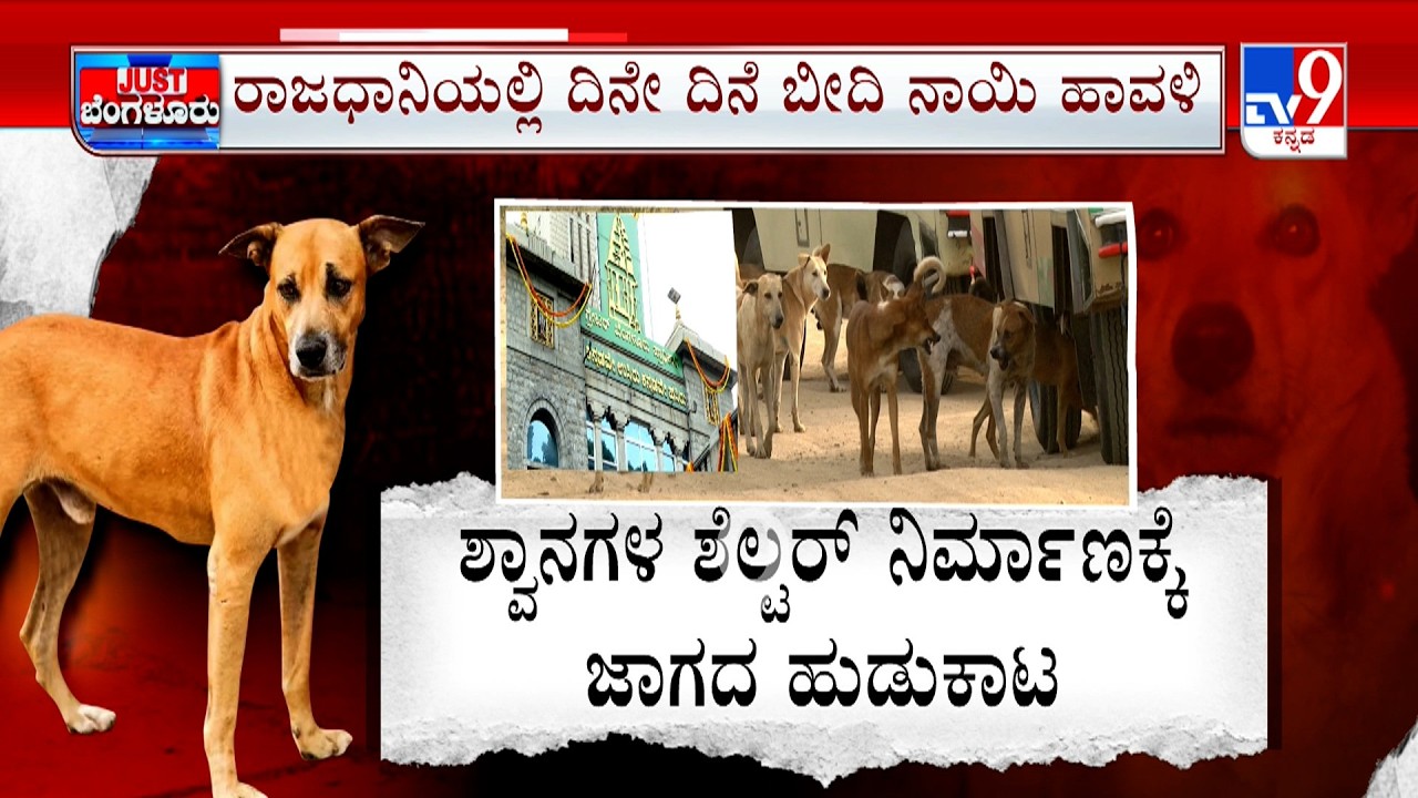 GBA To Shelter Stray Dogs In Bengaluru: ಕ್ರೂರ ಶ್ವಾನಗಳನ್ನ ಸೆಲ್ಟರ್ ಗೆ ಸಾಗಿಸೋ ಪ್ಲ್ಯಾನ್