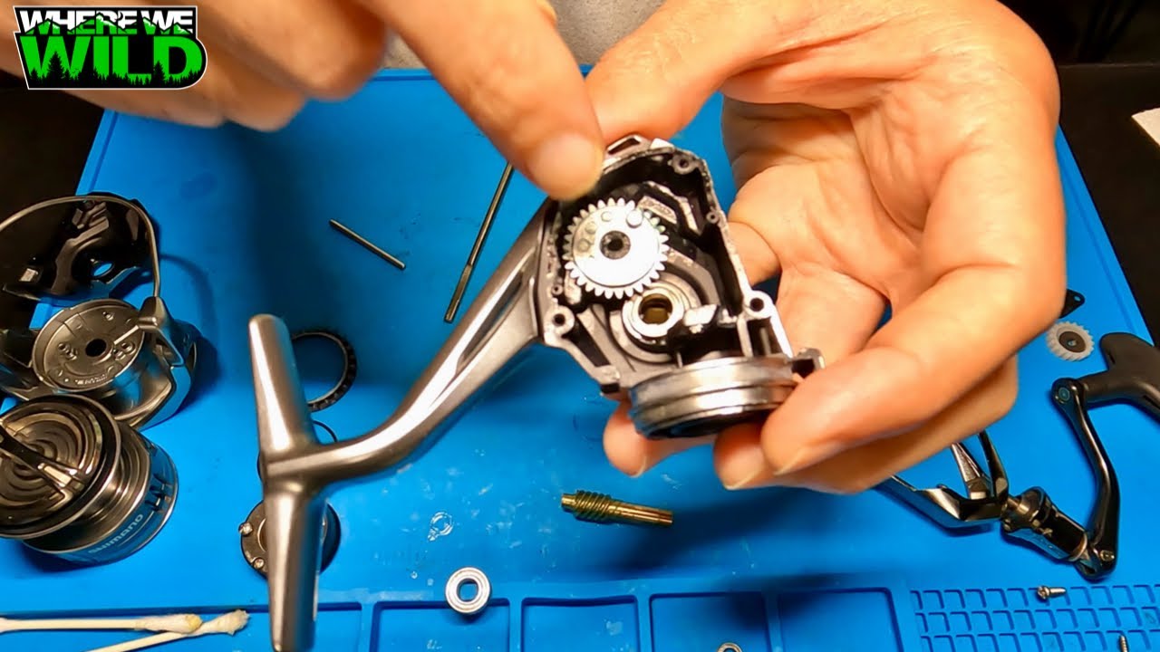 SHIMANO NASCI 3000HG - Take Apart & Tune Up - How To Oil & Grease a Spinning Reel