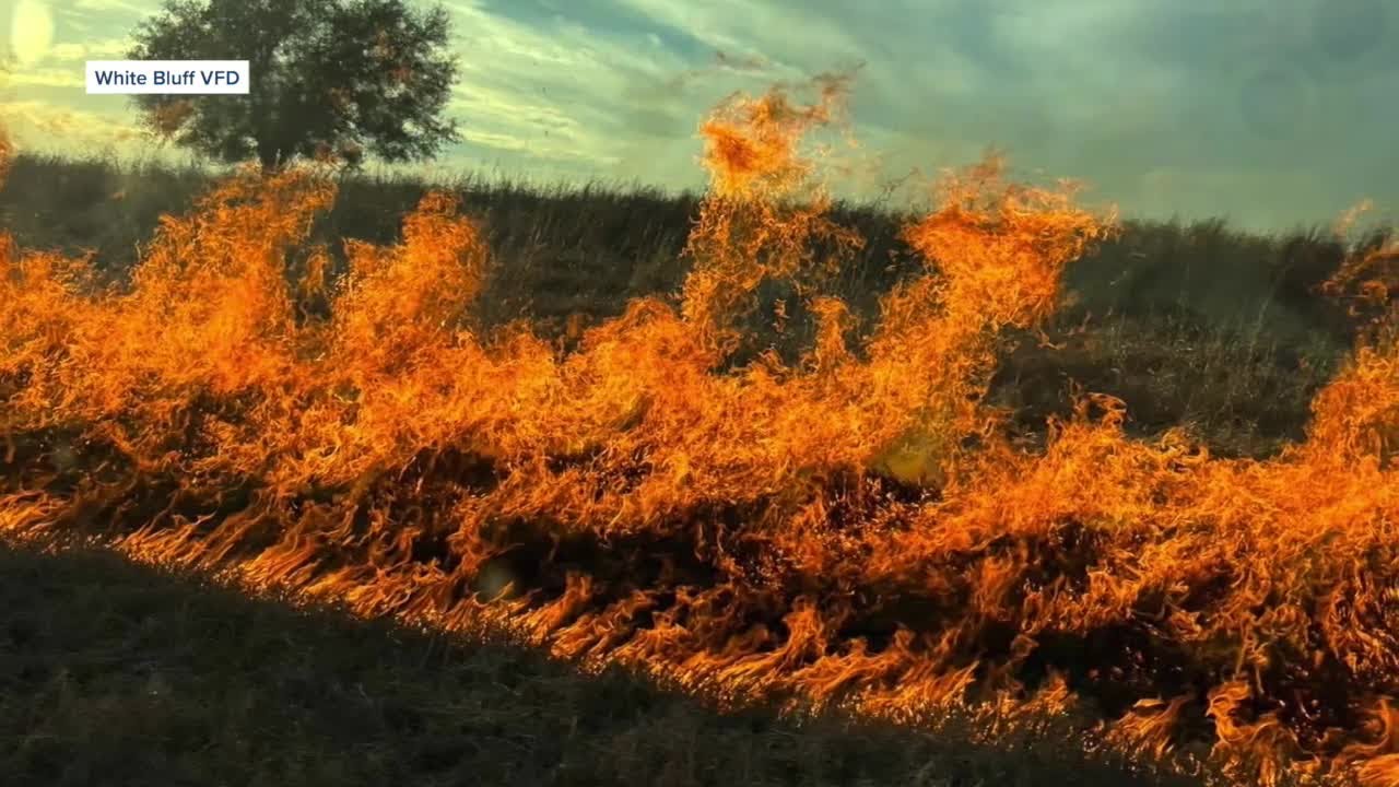 Hill County declares disaster after 10 fires in single day prompt emergency burn ban