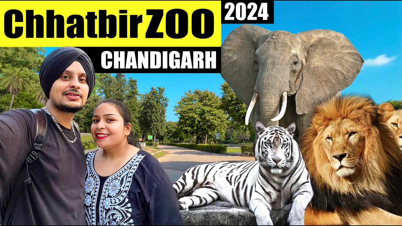 Chhatbir Zoo in Chandigarh | 🐅 Biggest Zoo in INDIA | chhatbir Chidiyaghar