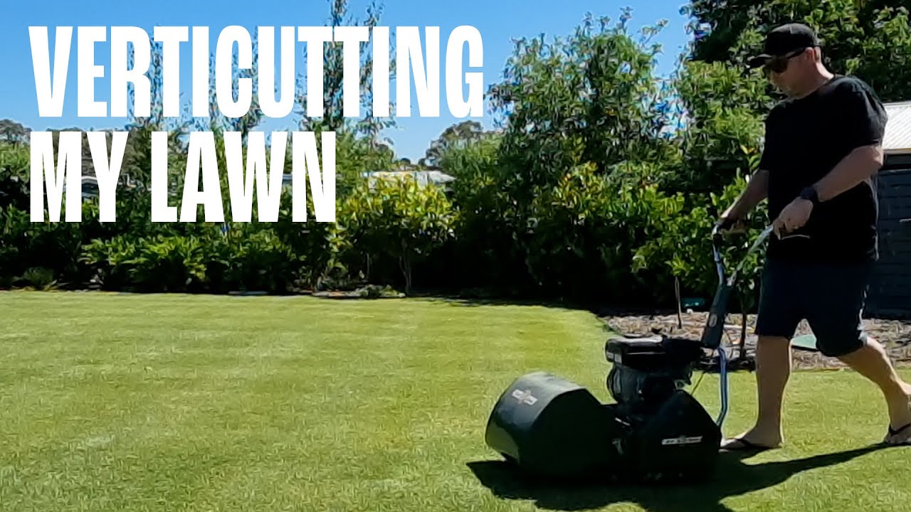 Verticutting my lawn
