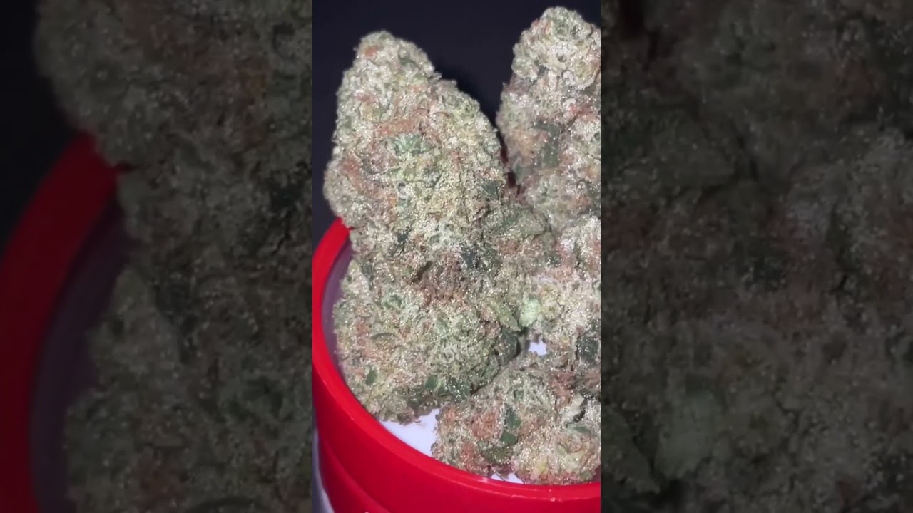 White OG by RedBird
