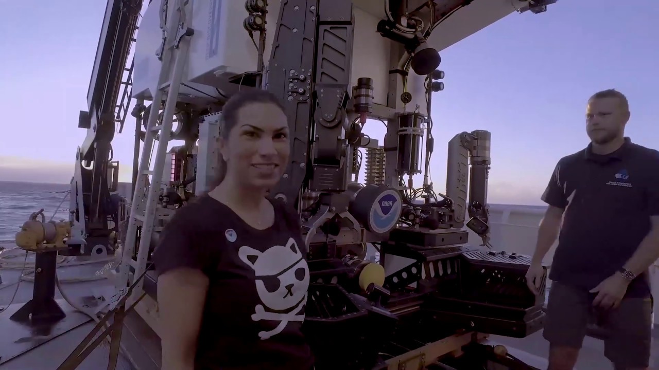 The Octonauts & NOAA Ship Okeanos Explorer