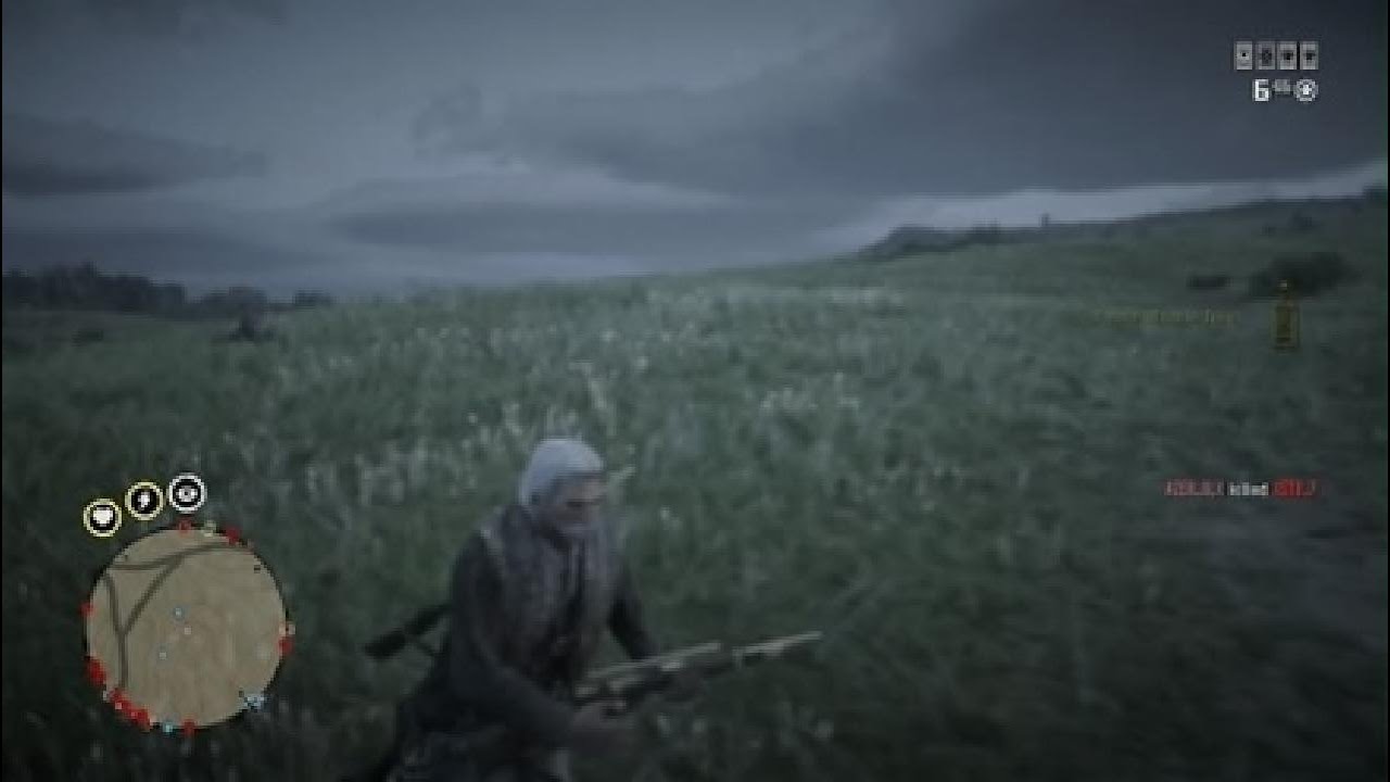 Red Dead Redemption 2_20260210061250