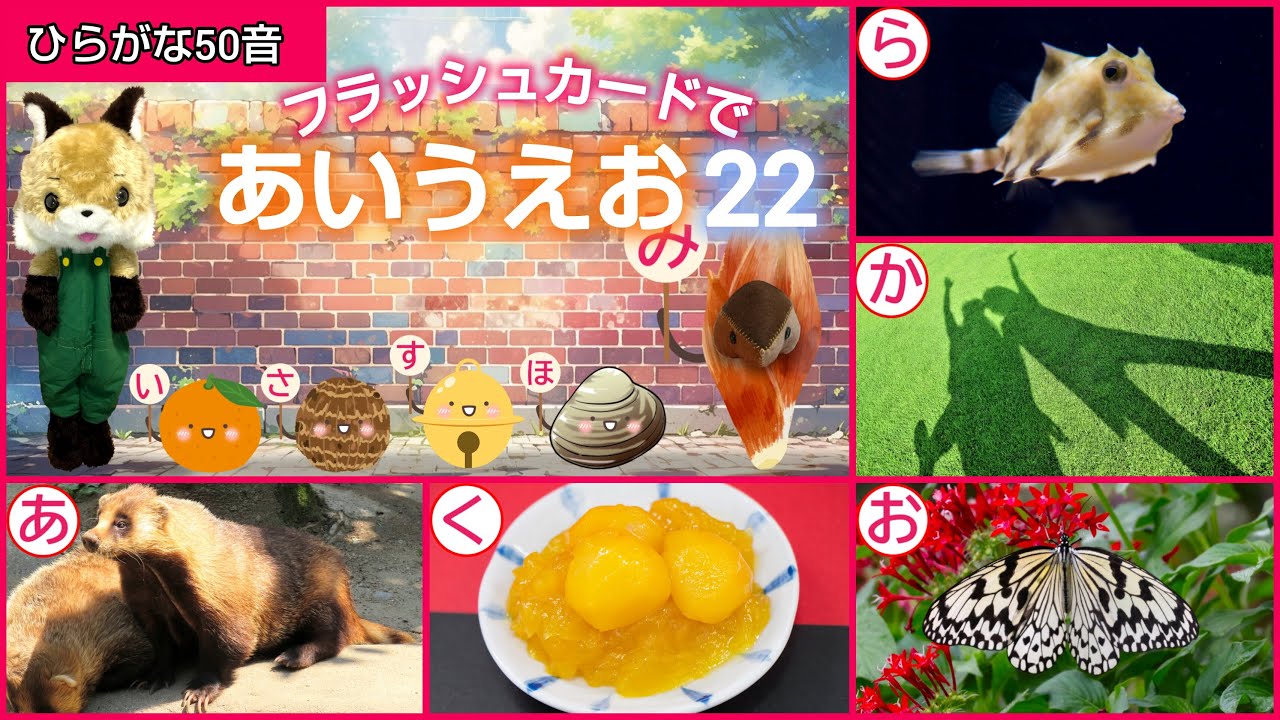 【フラッシュカード】ひらがな50音「フラッシュカードで♪あいうえお22」