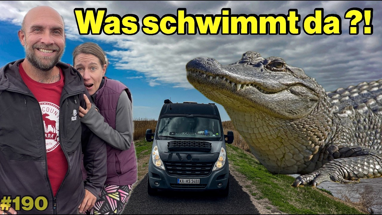 Plötzlich sind wir mitten im Alligator Sumpf! Unser Südstaaten Roadtrip beginnt
