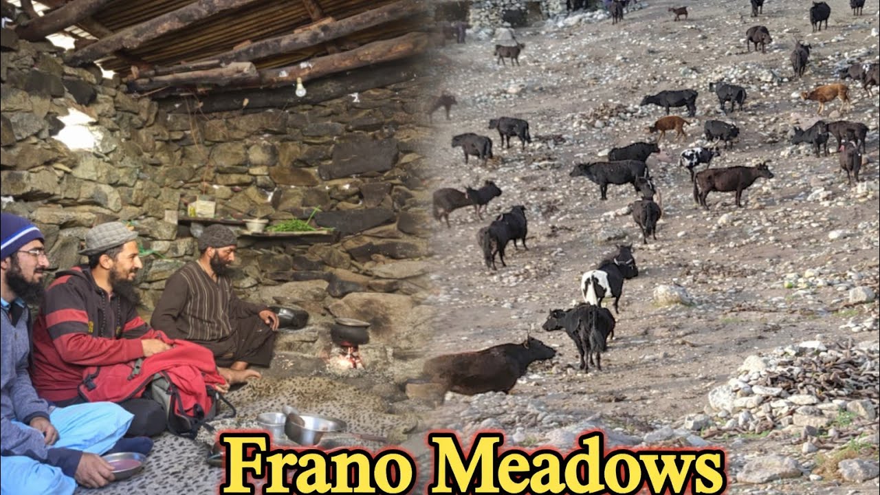 Organic Mountain Village Life | Shepherd people Cooking| Shepherd Food| Village life Baltistan 