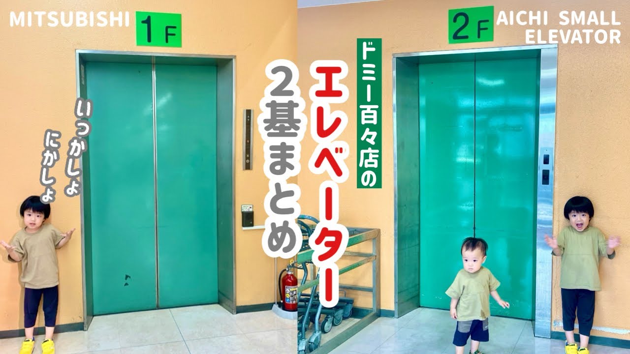 【377日目】ドミー 百々店のエレベーター（2ヶ所まとめ）（三菱＆愛知小型エレベーター）