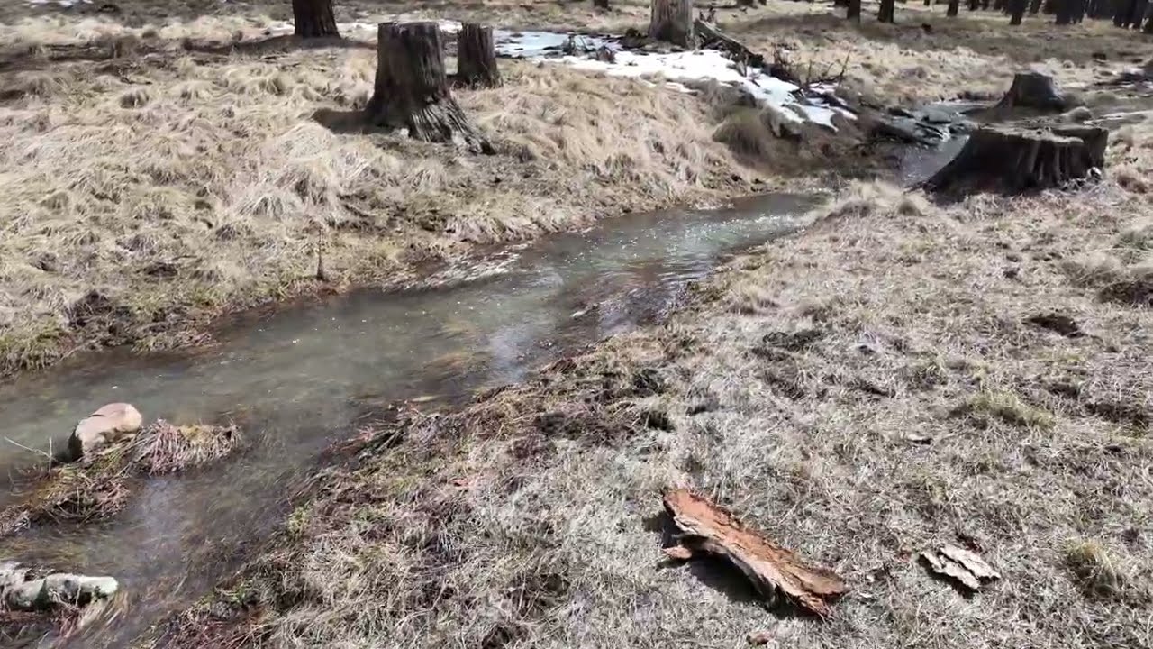 02282026 - Critter-Camp Snowmelt Rivers Everywhere pt2
