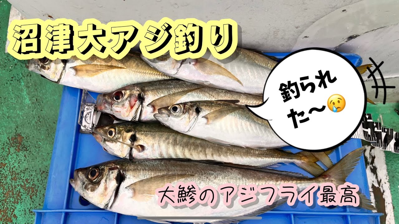 No.51【駿河湾沼津】大アジで大フライ最高