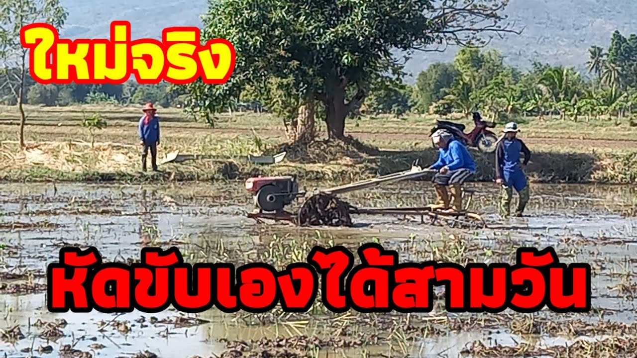 มือใหม่สามวัน