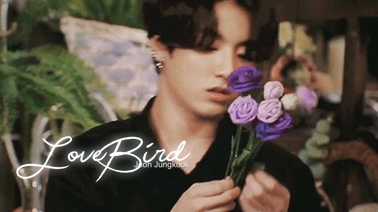 ↳ Jungkook imagine ; love bird (jk as your husband) 🪁