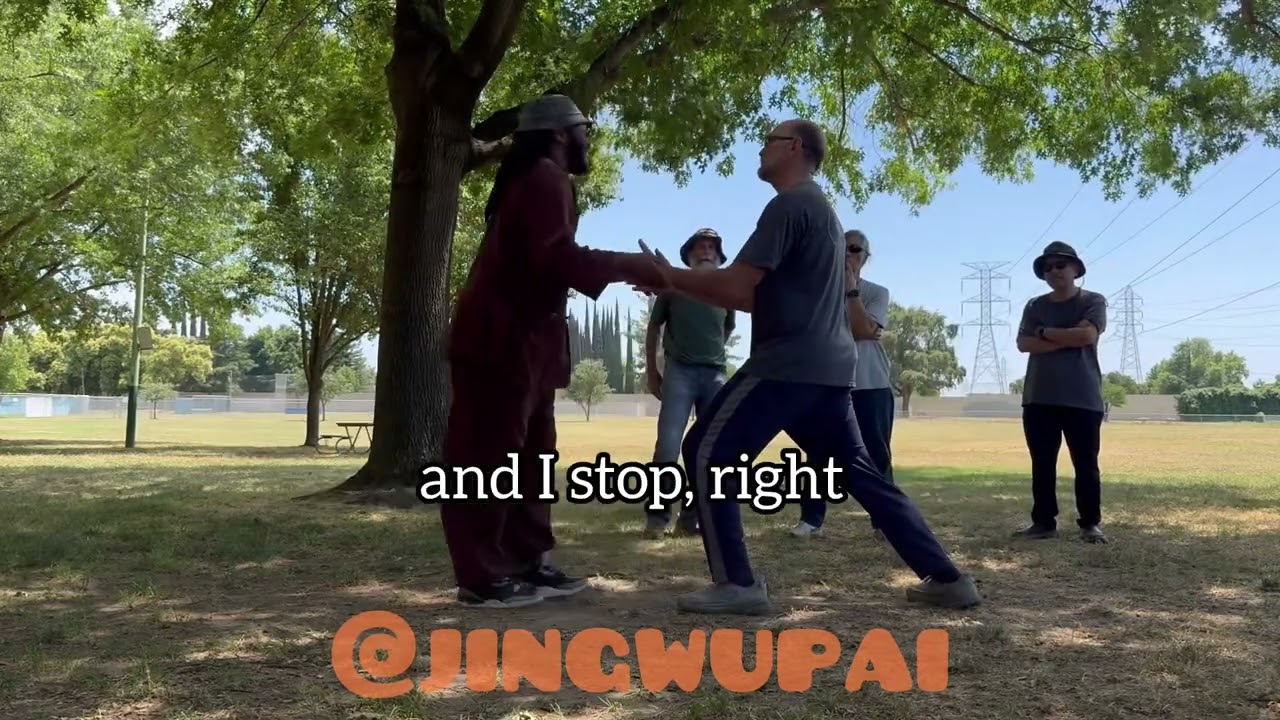 Feeding Force(喂劲) in Tai Chi