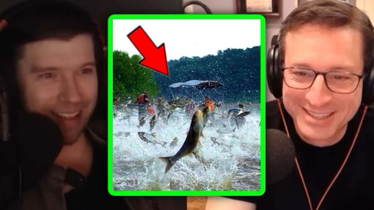 The Most HATED Fish in America (The Asian Carp Invasion)