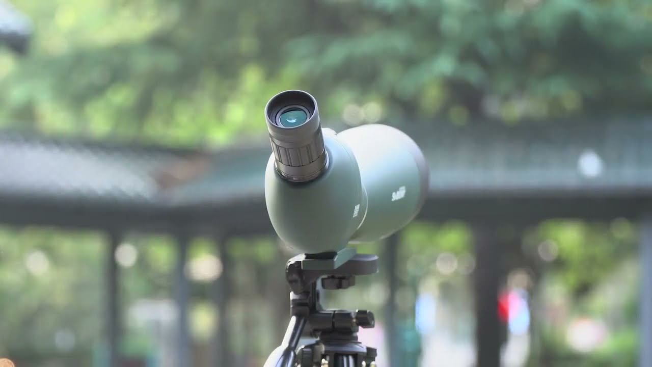 Longue Vue de Digiscopie | Jumelles Optiques