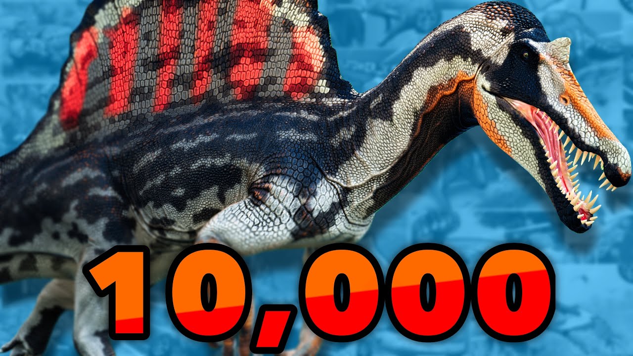 10,000 SUBSCRIBERS SPECIAL!! || Funny moments, Best fights and MORE!